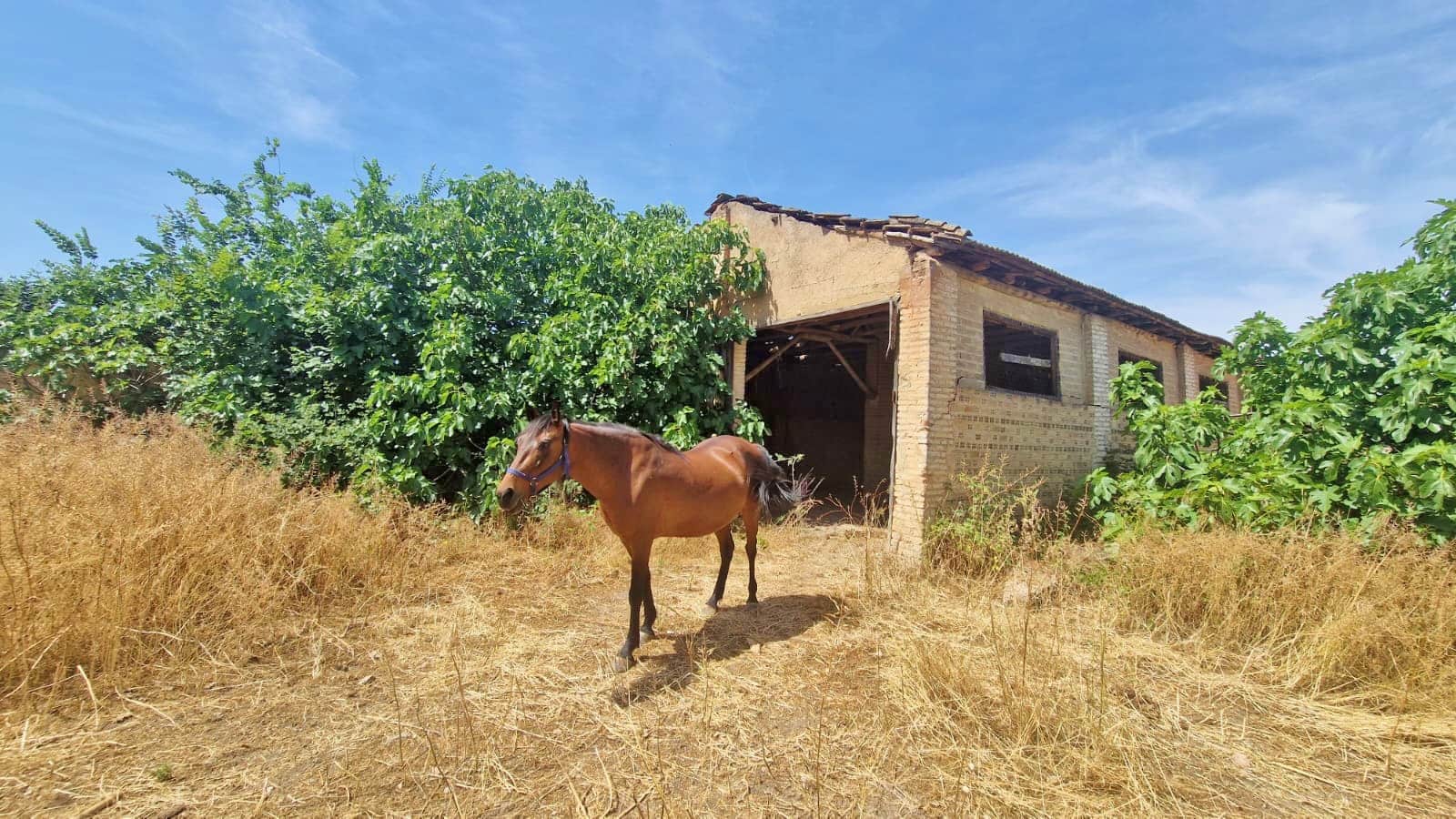8 quarto Quinta/Casa Rural para venda em Pinos Puente - 210 000 € (Ref: 9264976)