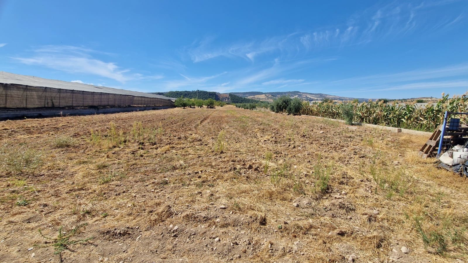 2 slaapkamer Finca/Landhuis te koop in Fornes - € 99.000 (Ref: 9302829)