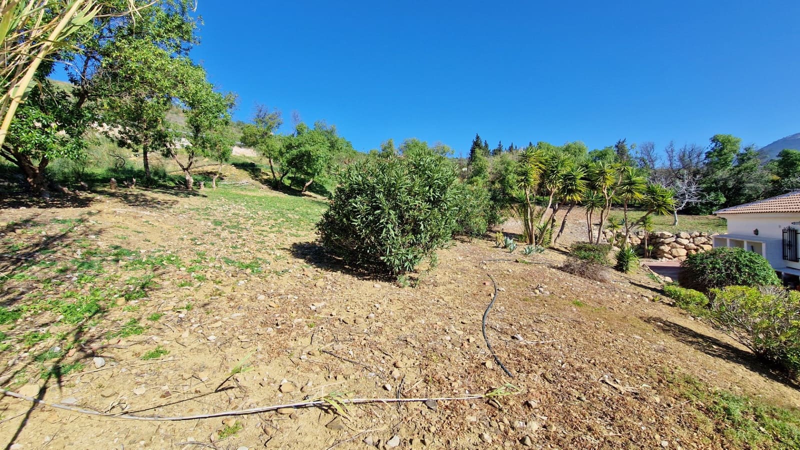 3 soverom Finca/Herregård til salgs i Alcaucin med svømmebasseng garasje - € 374 950 (Ref: 9309228)