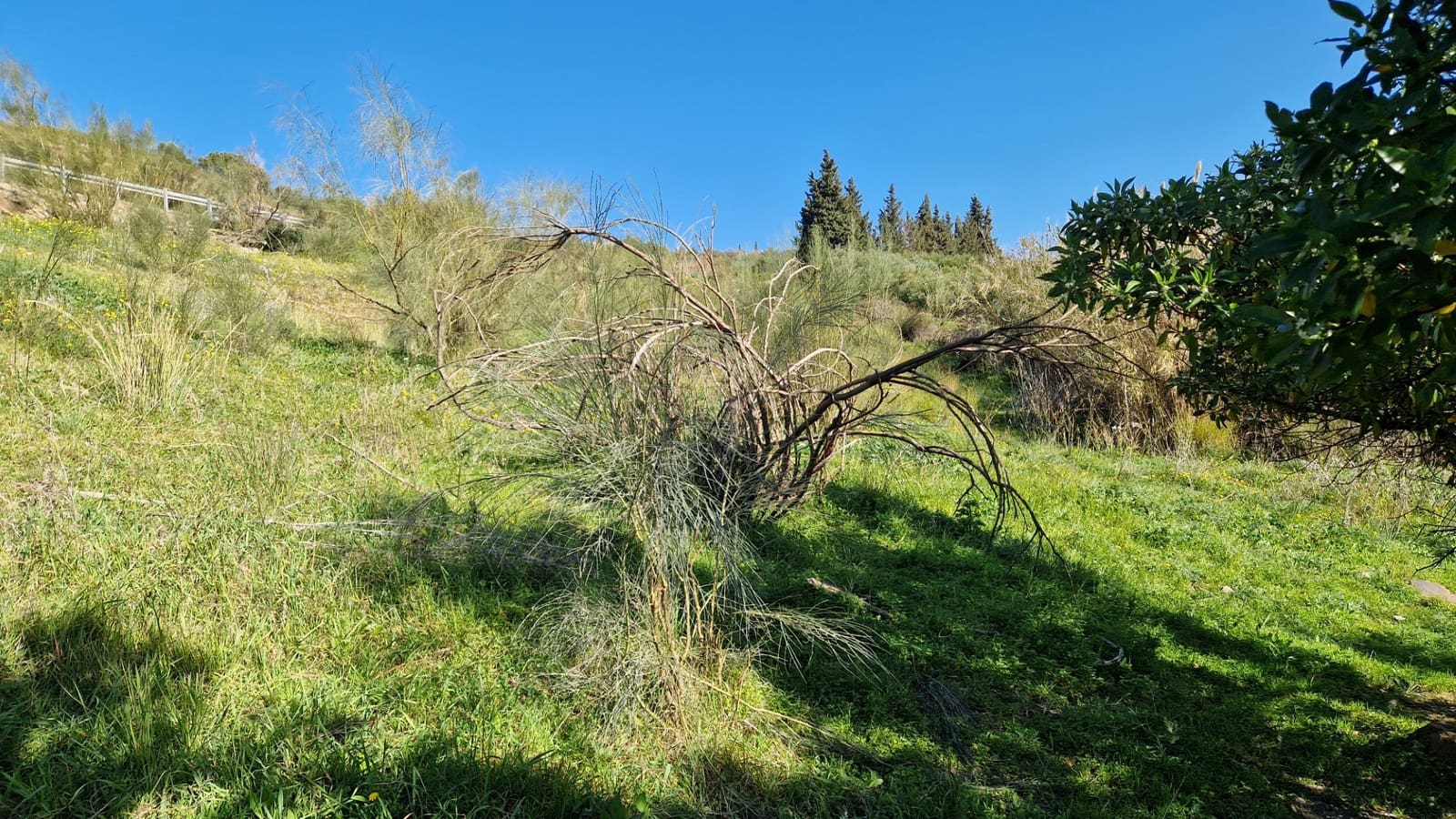 3 soverom Finca/Herregård til salgs i Alcaucin med svømmebasseng garasje - € 374 950 (Ref: 9309228)