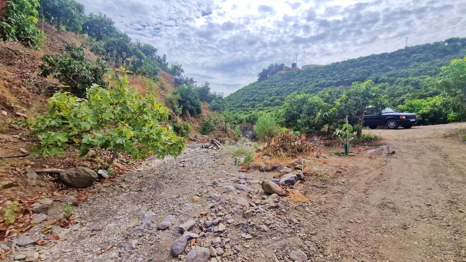 3 soverom Finca/Herregård til salgs i Trapiche med svømmebasseng garasje - € 590 000 (Ref: 9349824)