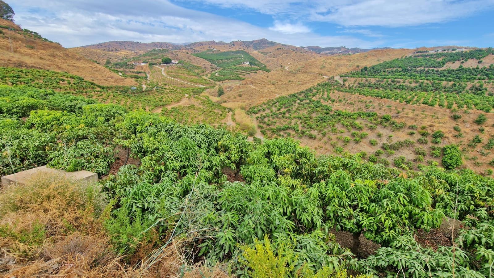 3 soverom Finca/Herregård til salgs i Trapiche med svømmebasseng garasje - € 590 000 (Ref: 9349824)