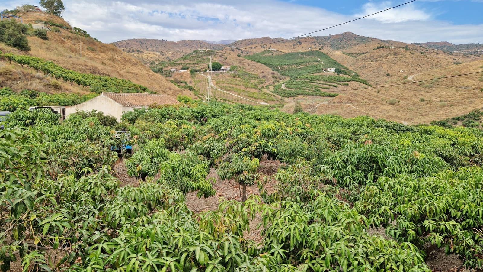 3 soverom Finca/Herregård til salgs i Trapiche med svømmebasseng garasje - € 590 000 (Ref: 9349824)