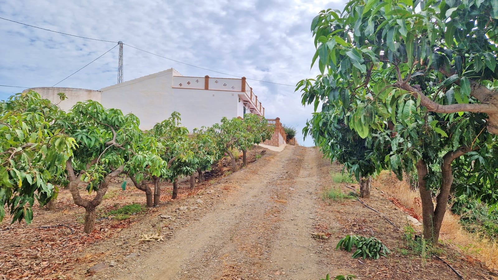 3 soverom Finca/Herregård til salgs i Trapiche med svømmebasseng garasje - € 590 000 (Ref: 9349824)