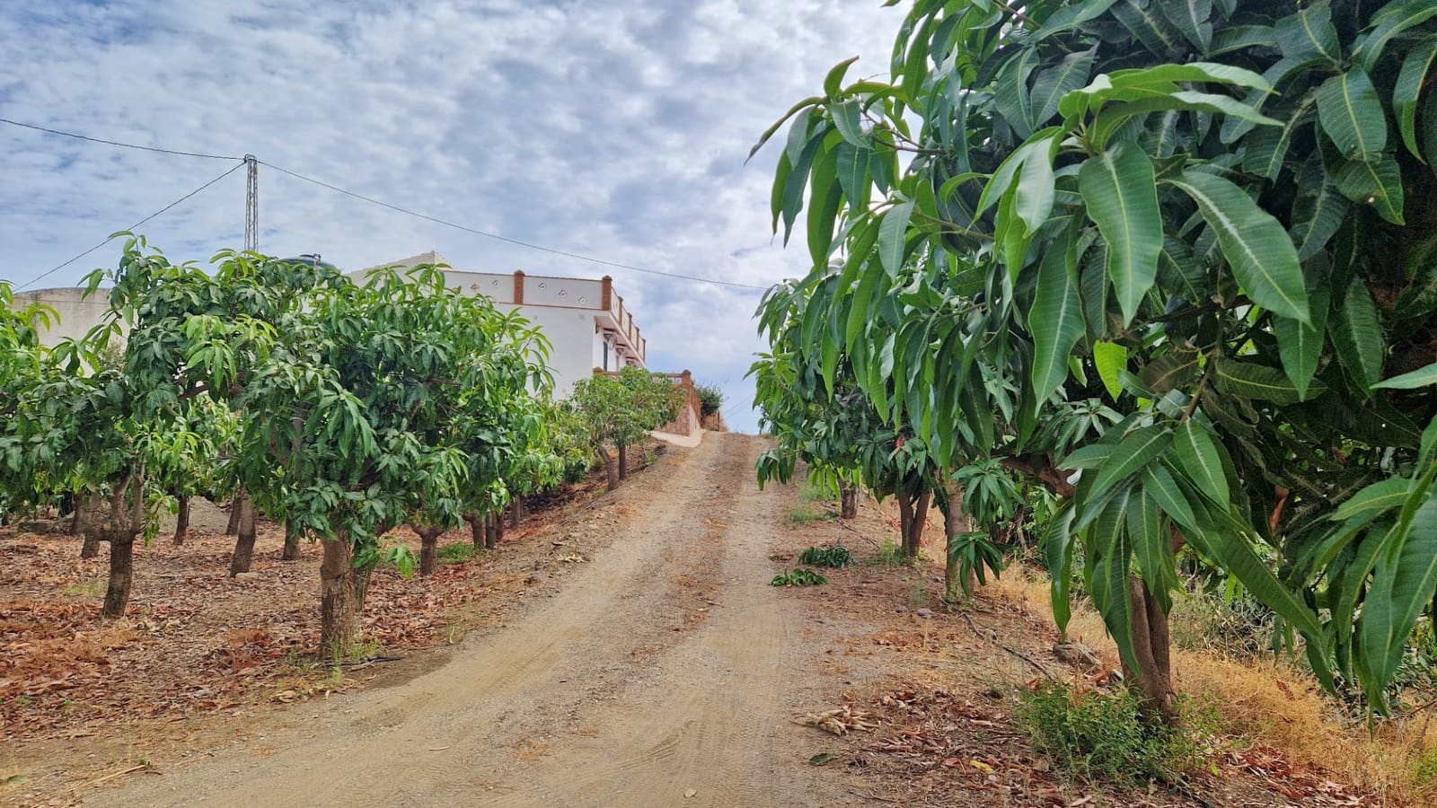 3 soverom Finca/Herregård til salgs i Trapiche med svømmebasseng garasje - € 590 000 (Ref: 9349824)