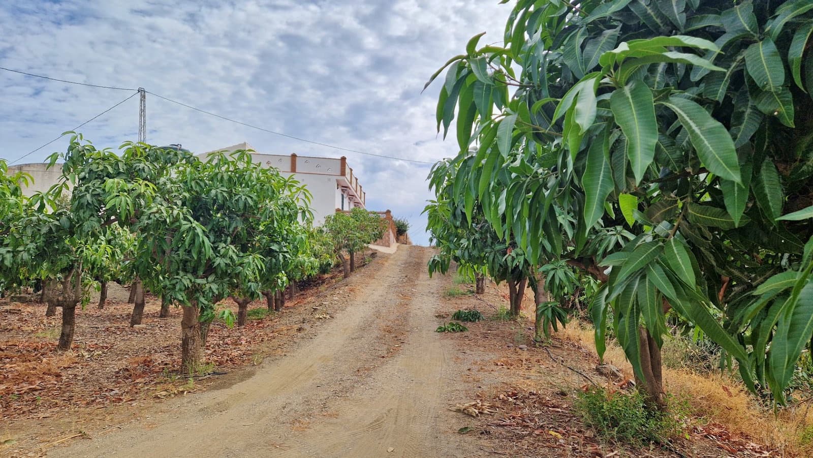 3 bedroom Finca/Country House for sale in Trapiche with pool garage - € 590,000 (Ref: 9349824)