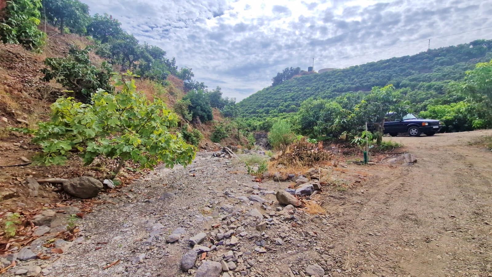 3 bedroom Finca/Country House for sale in Trapiche with pool garage - € 590,000 (Ref: 9349824)