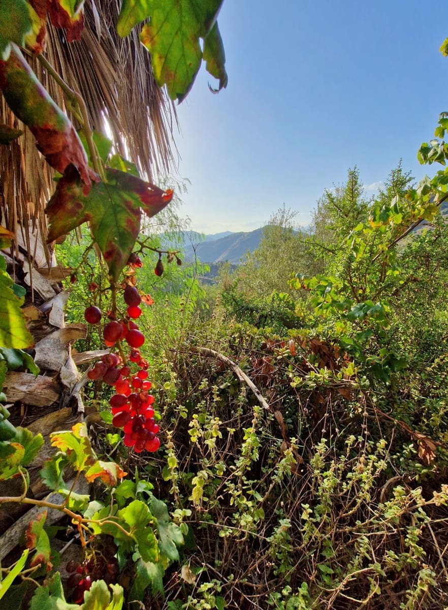 3 soveværelse Byhus til salg i Canillas de Aceituno - € 54.000 (Ref: 9352953)