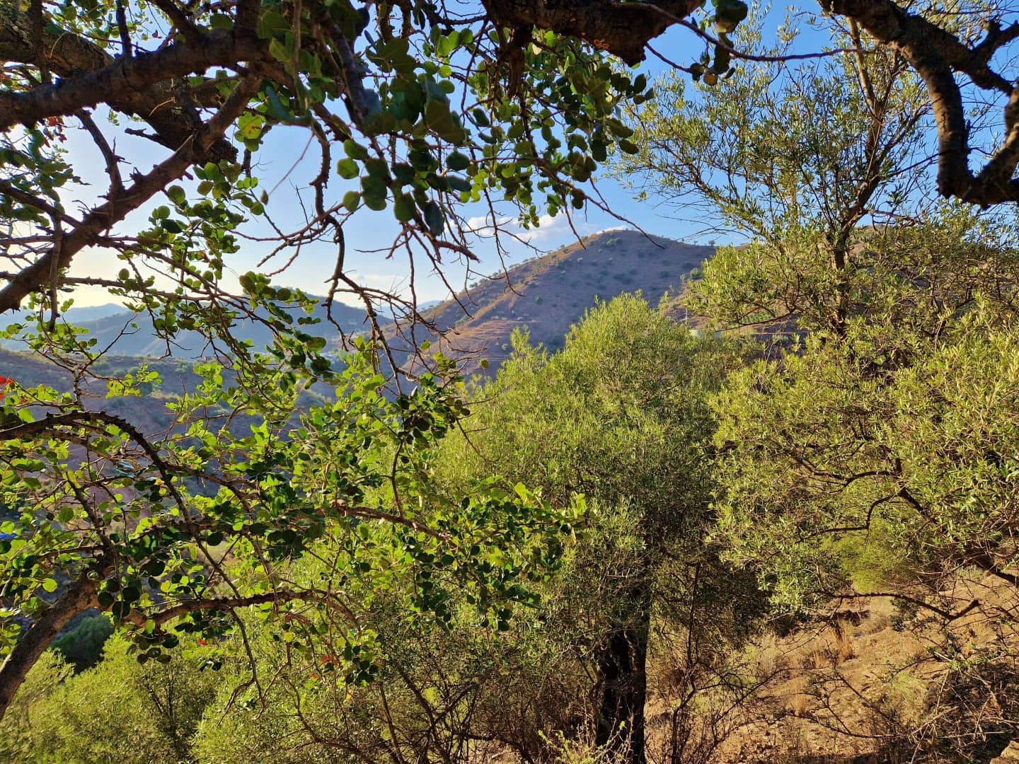 3 soveværelse Byhus til salg i Canillas de Aceituno - € 54.000 (Ref: 9352953)