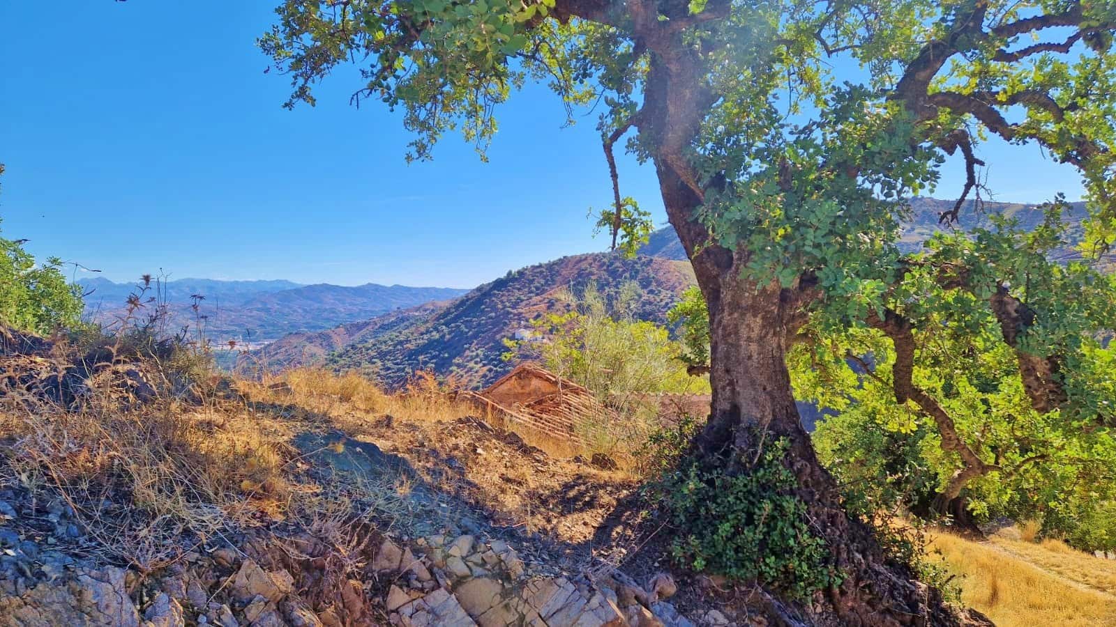 Finca/Landehus til salg i Comares - € 25.000 (Ref: 9386650)