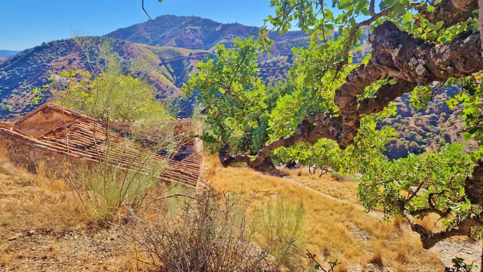 Finca/Landehus til salg i Comares - € 25.000 (Ref: 9386650)