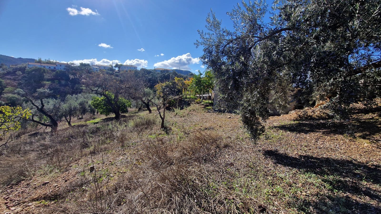 6 chambre Finca/Maison de Campagne à vendre à Comares - 340 000 € (Ref: 9410011)