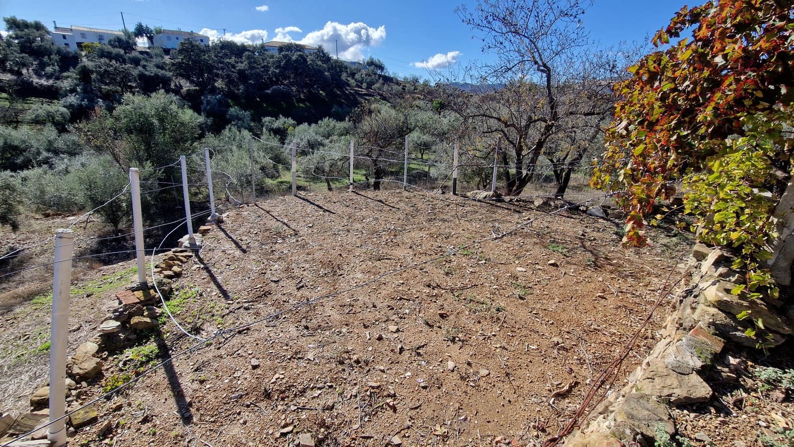 6 soveværelse Finca/Landehus til salg i Comares med swimmingpool garage - € 295.000 (Ref: 9410011)