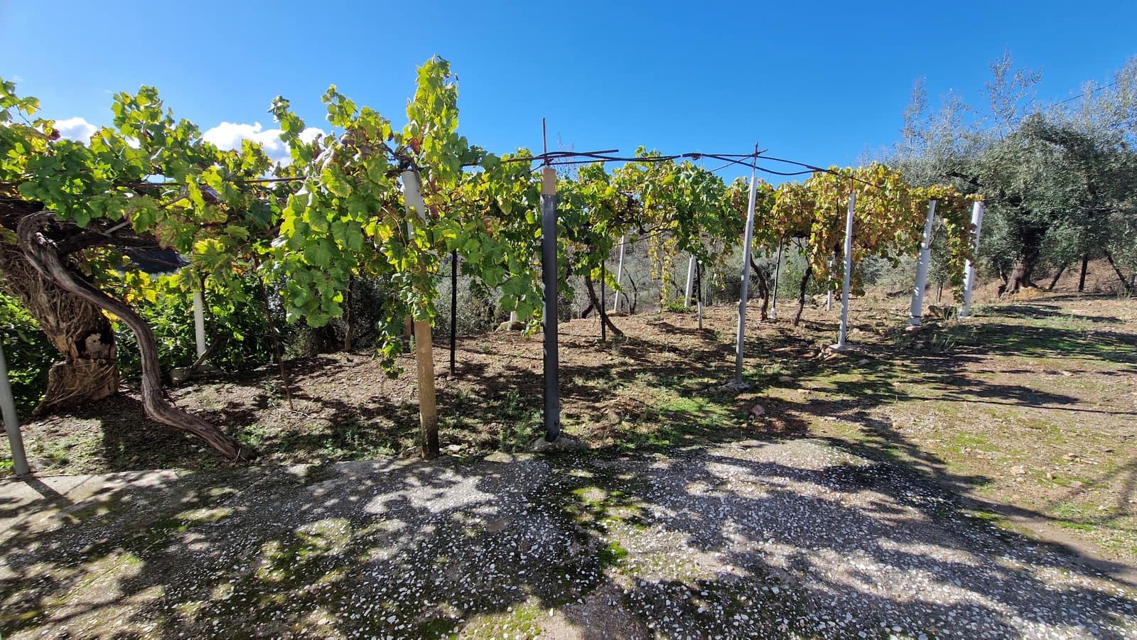 6 soveværelse Finca/Landehus til salg i Comares med swimmingpool garage - € 295.000 (Ref: 9410011)