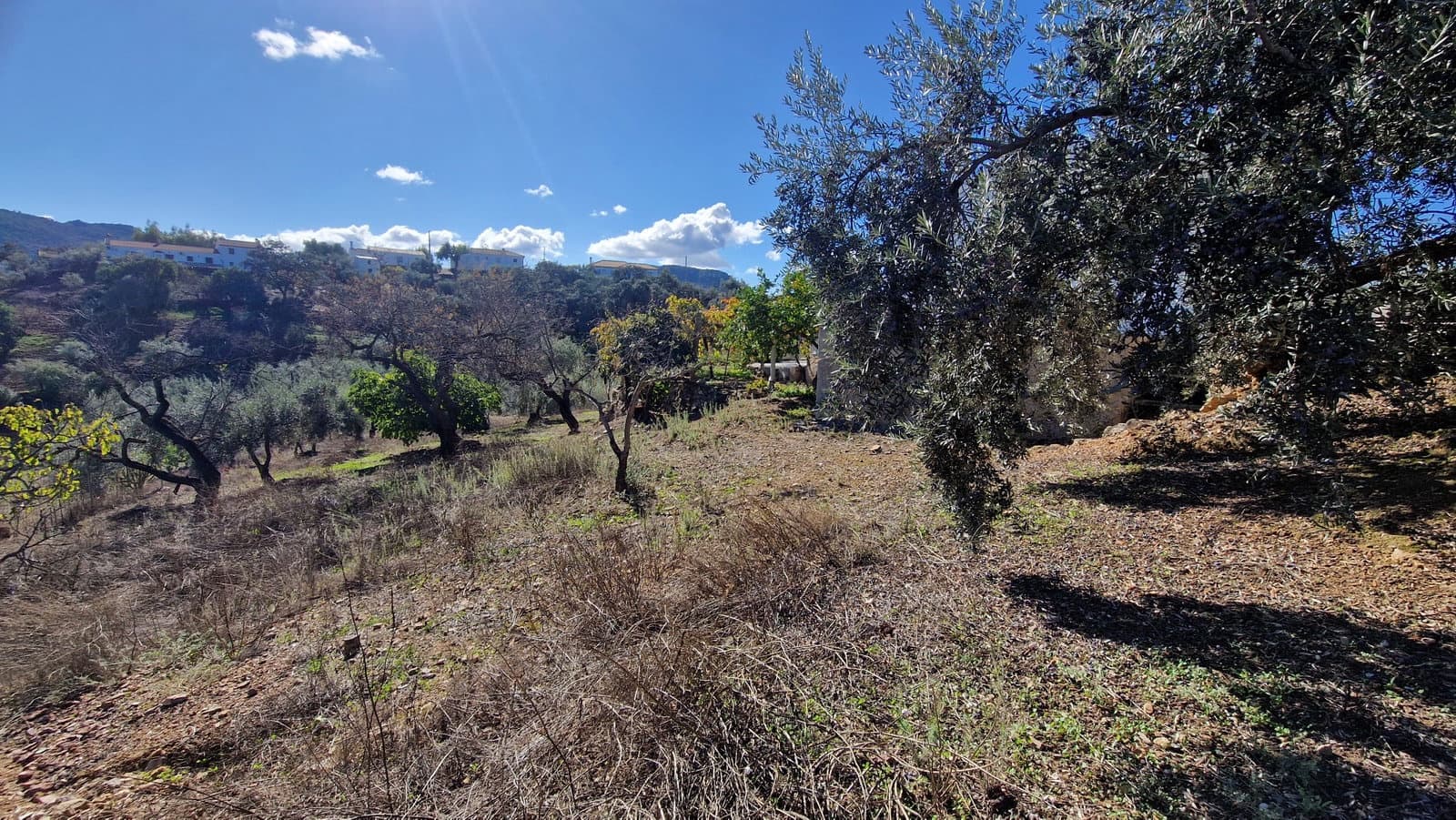 6 soveværelse Finca/Landehus til salg i Comares med swimmingpool garage - € 295.000 (Ref: 9410011)