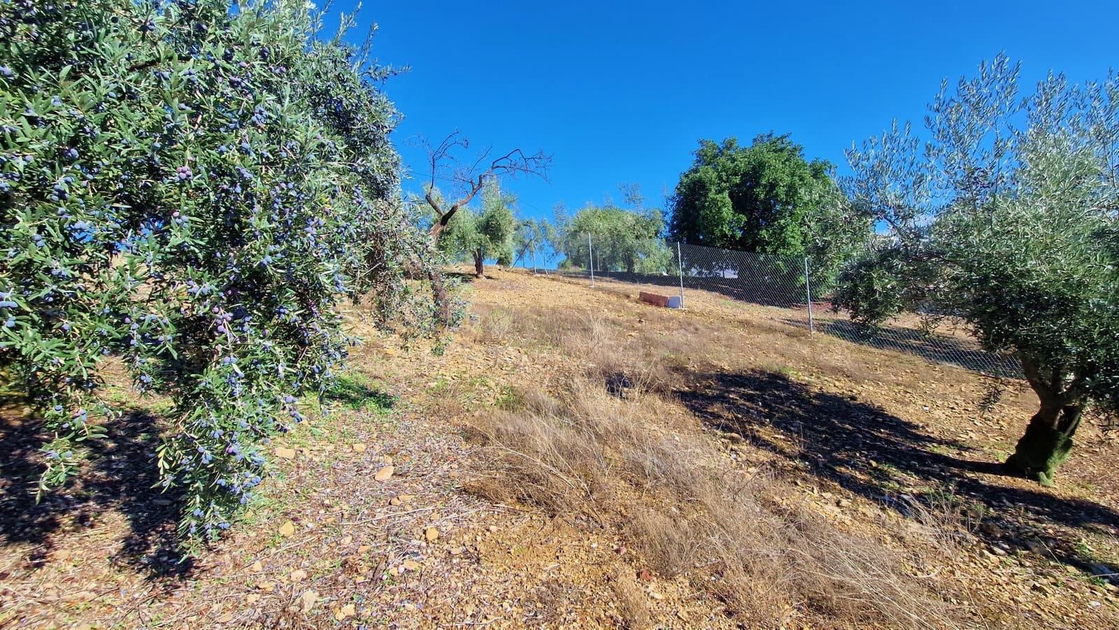 6 soveværelse Finca/Landehus til salg i Comares med swimmingpool garage - € 295.000 (Ref: 9410011)