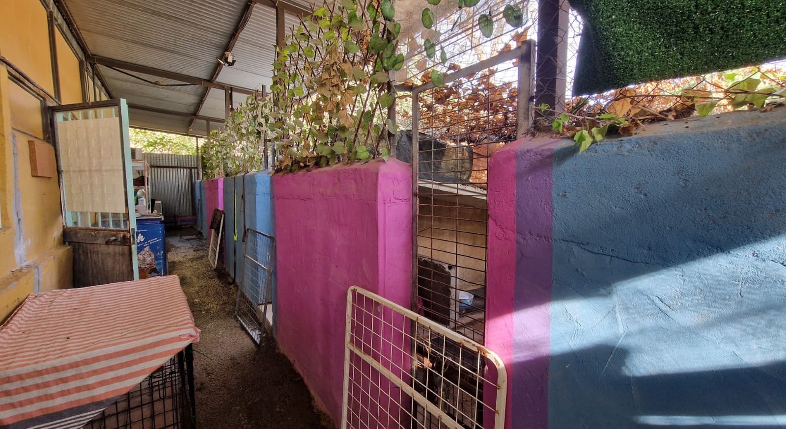 3 slaapkamer Finca/Landhuis te koop in Benajarafe - € 370.000 (Ref: 9410012)