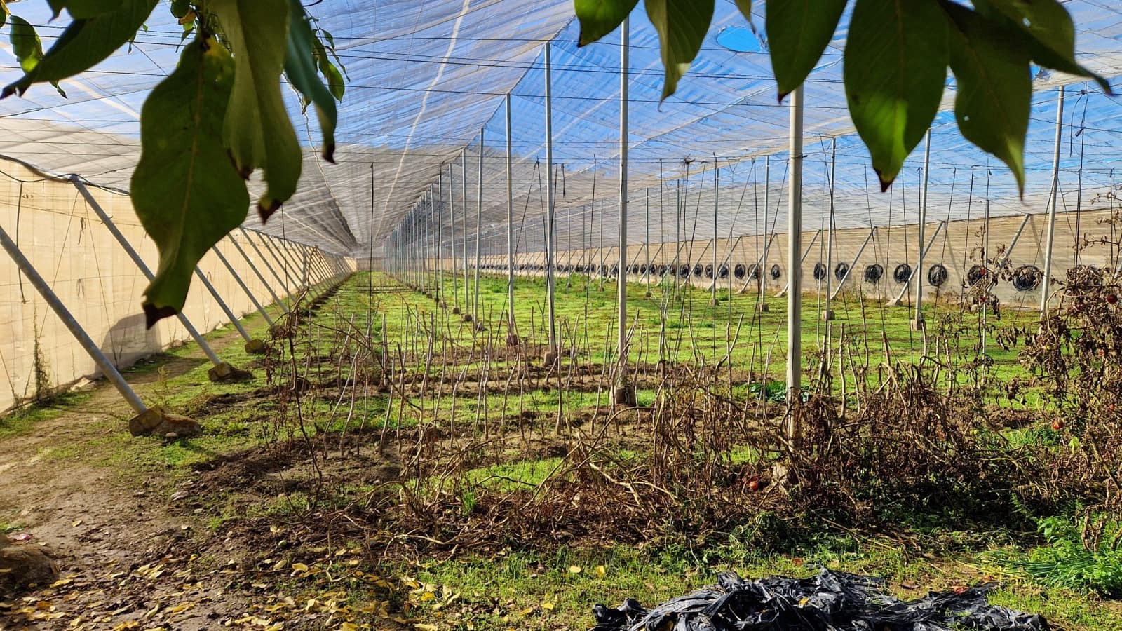 2 soverom Finca/Herregård til salgs i Jayena - € 115 000 (Ref: 9420610)