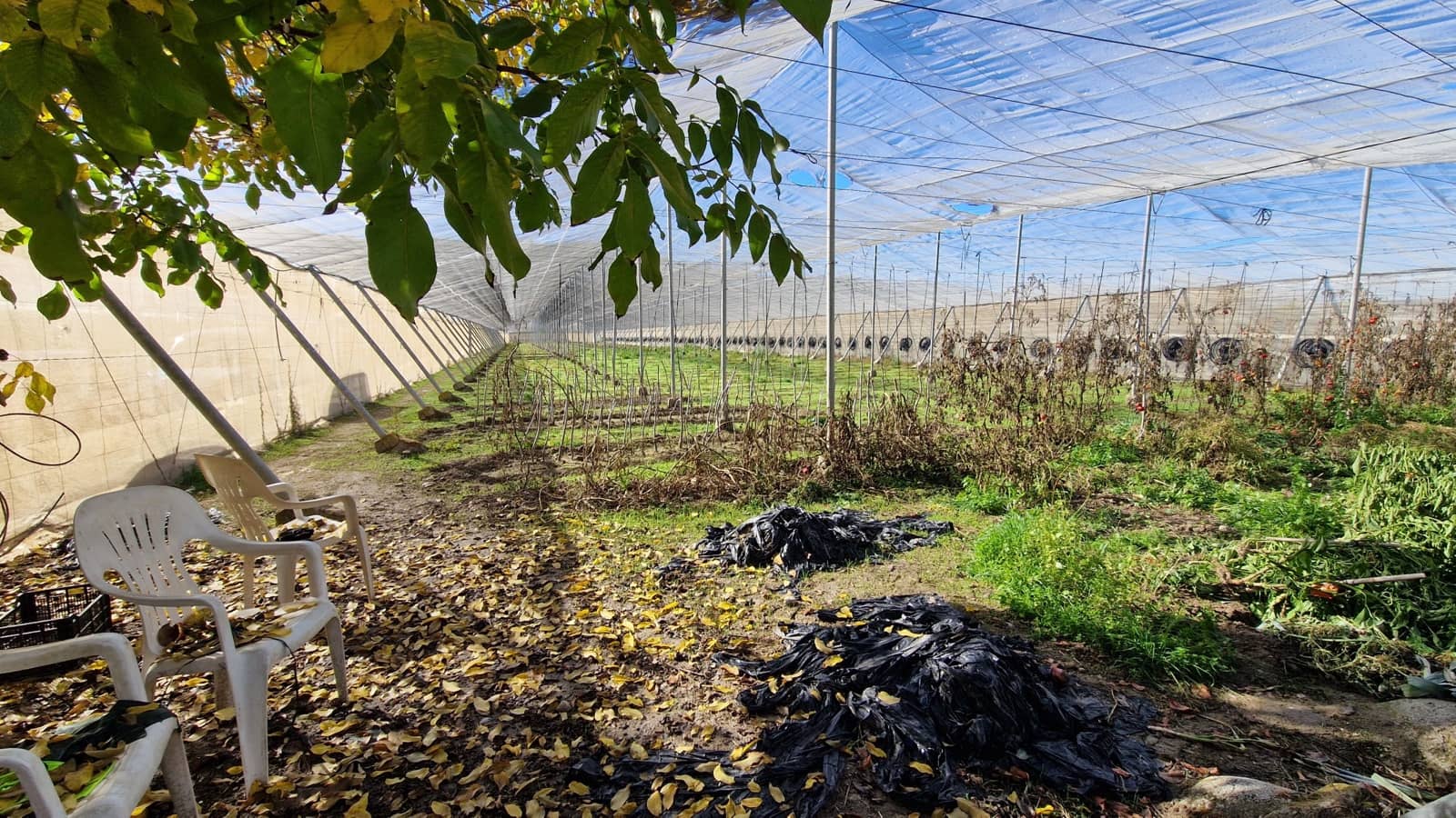 2 soverom Finca/Herregård til salgs i Jayena - € 115 000 (Ref: 9420610)