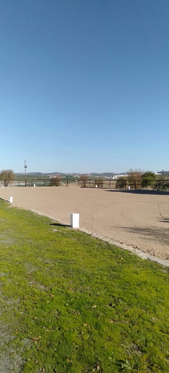 4 soverom Finca/Herregård til salgs i Moron de la Frontera med svømmebasseng garasje - € 795 000 (Ref: 9450036)