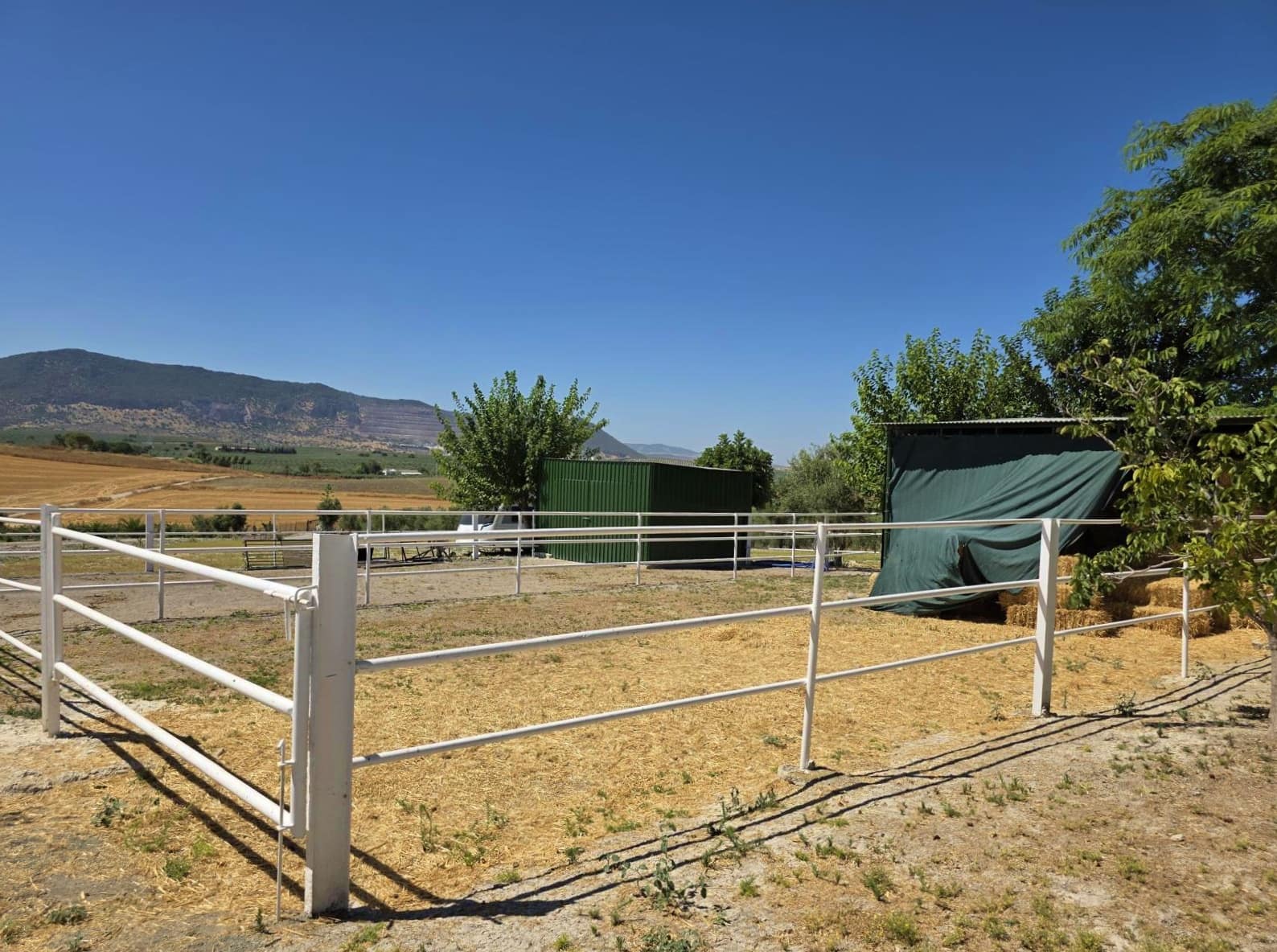 4 soverom Finca/Herregård til salgs i Moron de la Frontera med svømmebasseng garasje - € 795 000 (Ref: 9450036)