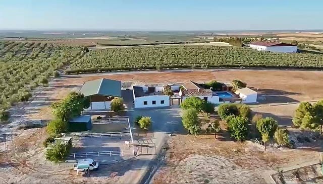 Finca/Casa Rural de 4 habitaciones en Morón de la Frontera en venta con piscina garaje - 699.000 € (Ref: 9450036)