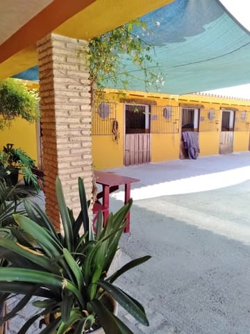 Finca/Casa Rural de 4 habitaciones en Morón de la Frontera en venta con piscina garaje - 699.000 € (Ref: 9450036)