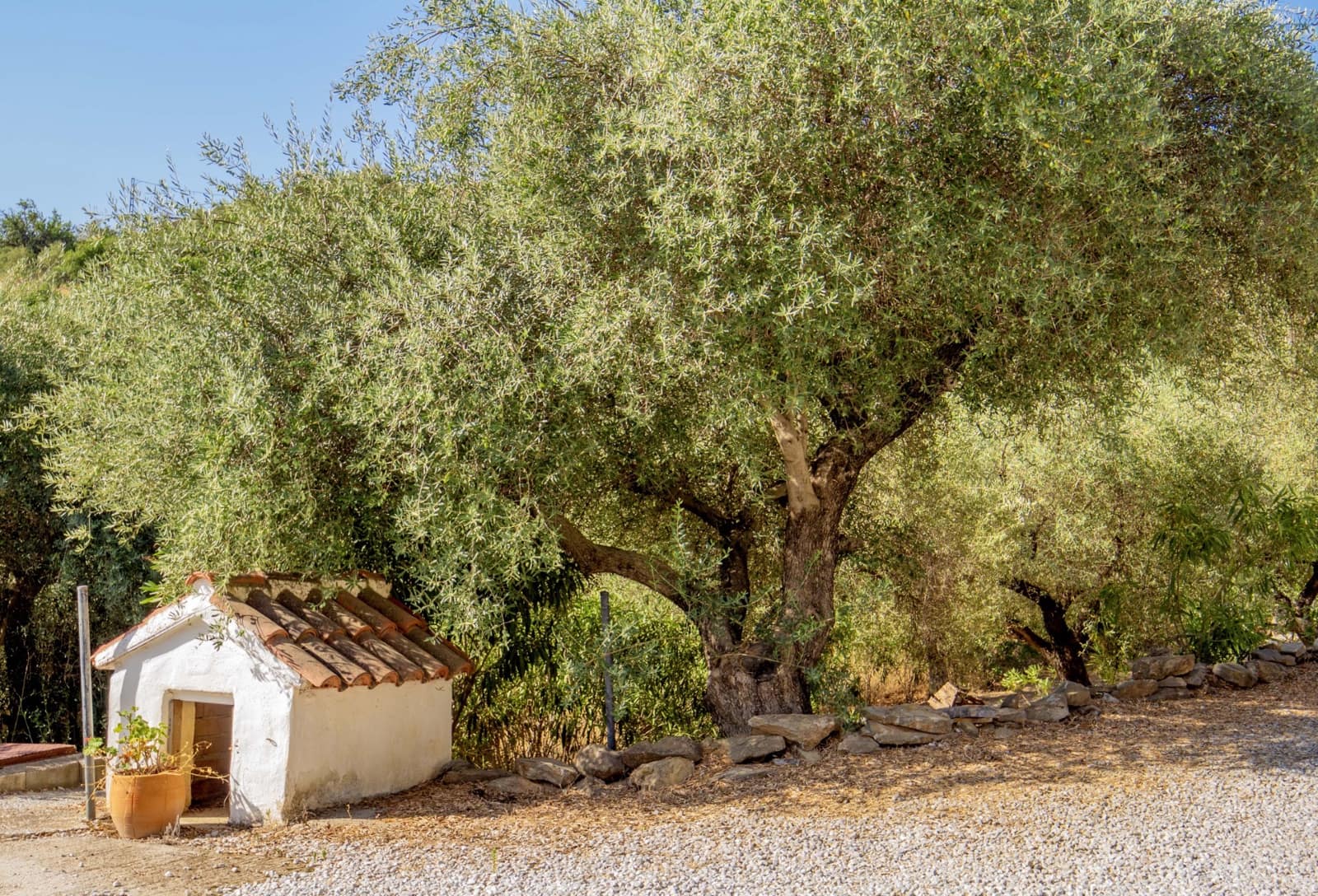 4 soveværelse Finca/Landehus til salg i Comares med swimmingpool - € 349.000 (Ref: 9549993)