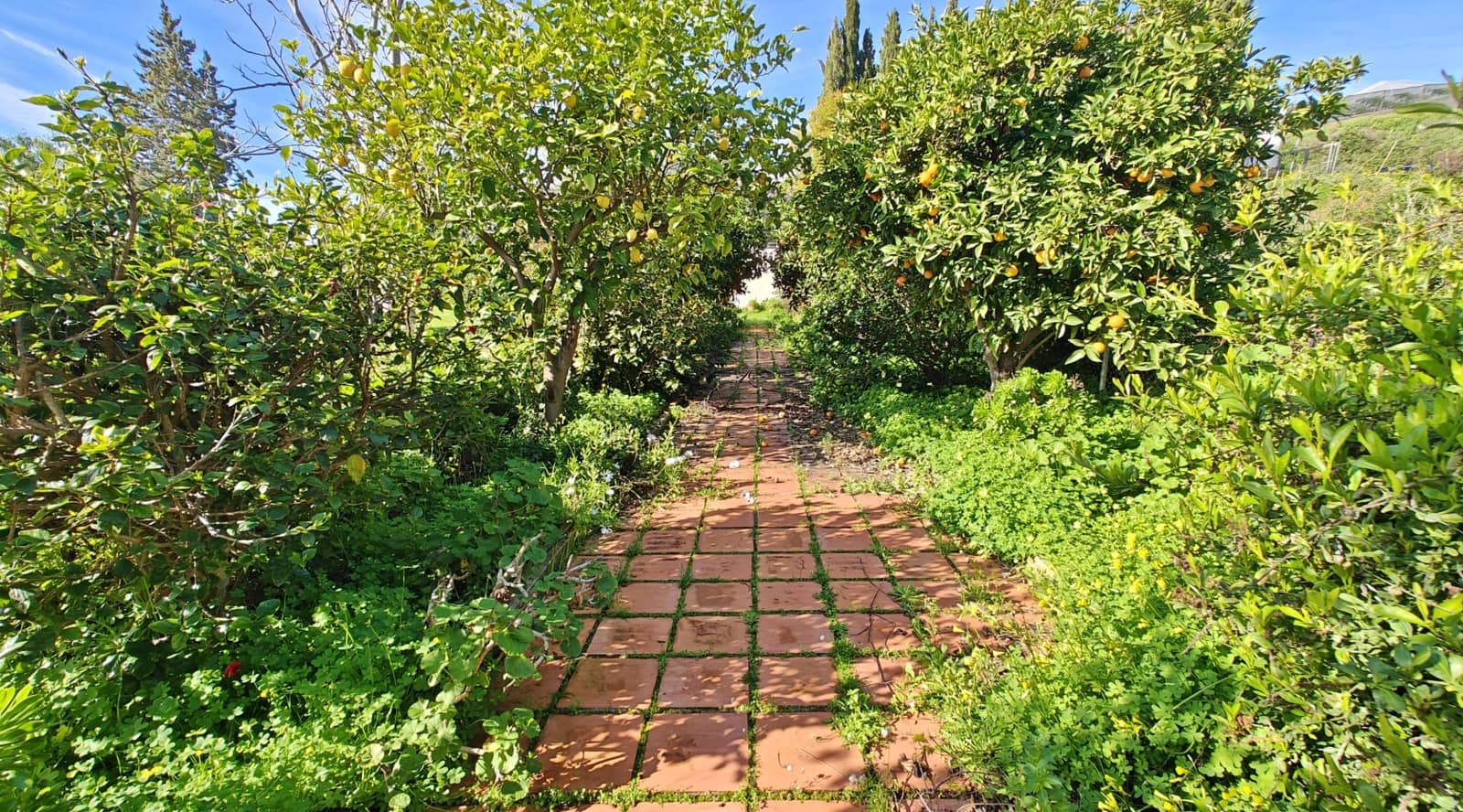 5 slaapkamer Finca/Landhuis te koop in Algarrobo met zwembad garage - € 550.000 (Ref: 9623258)