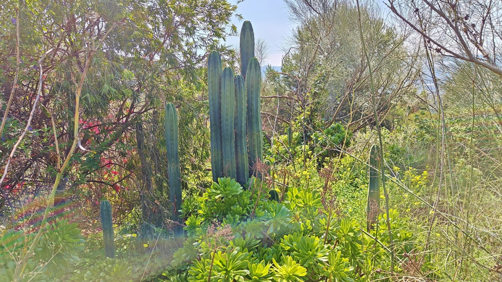 2 camera da letto Finca/Casa di Campagna in vendita in Velez-Malaga con garage - 59.000 € (Rif: 9643551)