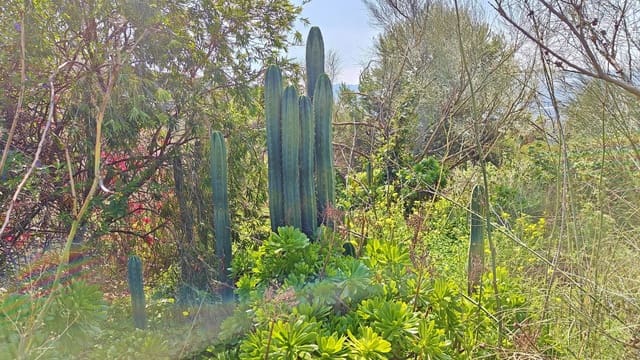 2 soveværelse Finca/Landehus til salg i Vélez-Málaga med garage - € 59.000 (Ref: 9643551)