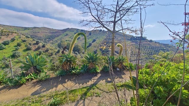 2 soveværelse Finca/Landehus til salg i Vélez-Málaga med garage - € 59.000 (Ref: 9643551)