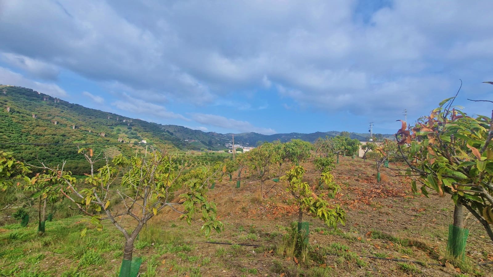 Finca/Casa Rural de 6 habitaciones en Cajiz en venta con garaje - 749.000 € (Ref: 9689900)