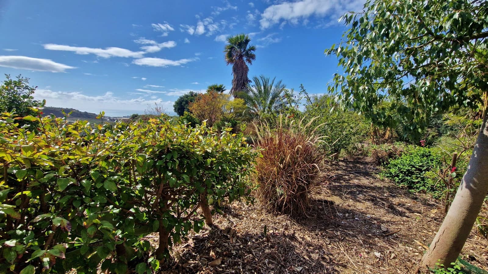 Finca/Casa Rural de 6 habitaciones en Cajiz en venta con garaje - 749.000 € (Ref: 9689900)