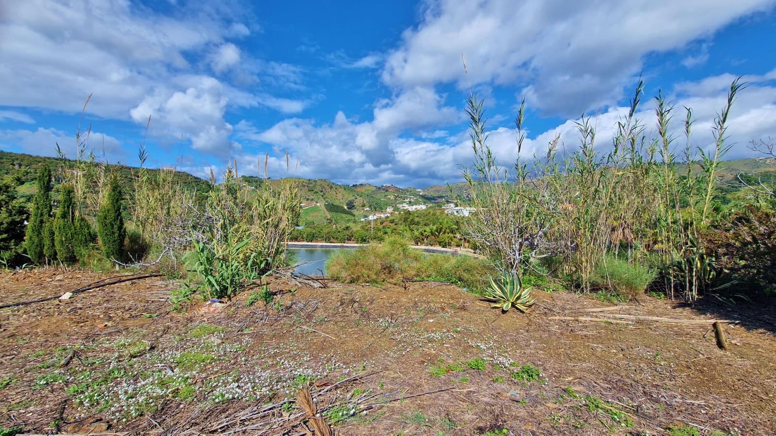 Finca/Casa Rural de 6 habitaciones en Cajiz en venta con garaje - 749.000 € (Ref: 9689900)