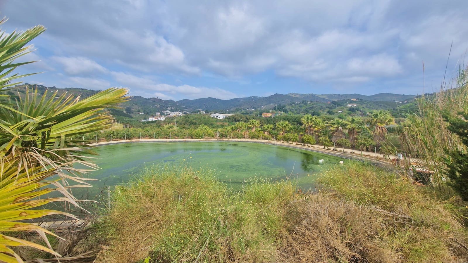 Finca/Casa Rural de 6 habitaciones en Cajiz en venta con garaje - 749.000 € (Ref: 9689900)