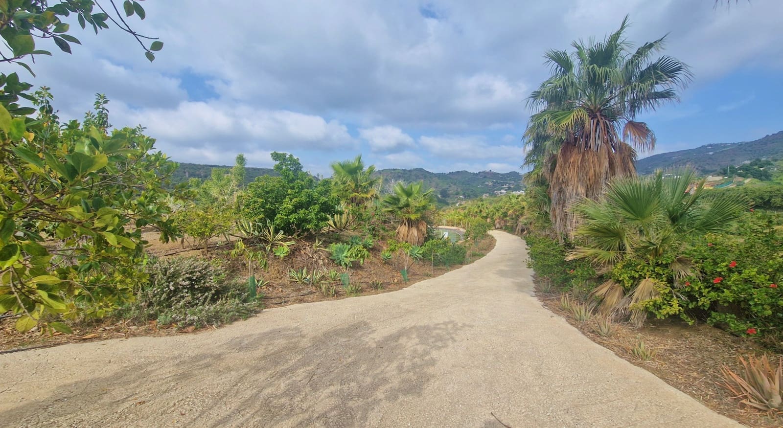 Finca/Casa Rural de 6 habitaciones en Cajiz en venta con garaje - 749.000 € (Ref: 9689900)