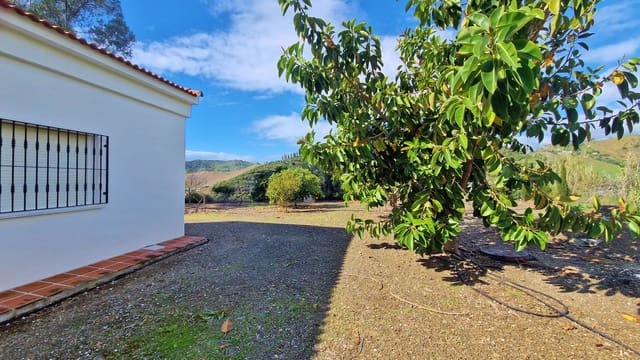 6 camera da letto Finca/Casa di Campagna in vendita in Cajiz, Vélez-Málaga con garage - 699.000 € (Rif: 9689900)