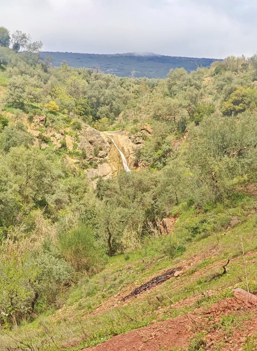 1 bedroom Finca/Country House for sale in Colmenar - € 85,000 (Ref: 9737749)