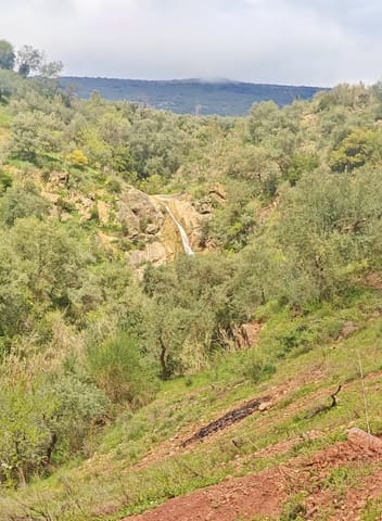 1 Zimmer Finca/Landgut zu verkaufen in Colmenar - 85.000 € (Ref: 9737749)