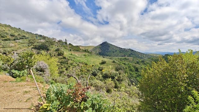 1 Zimmer Finca/Landgut zu verkaufen in Colmenar - 85.000 € (Ref: 9737749)