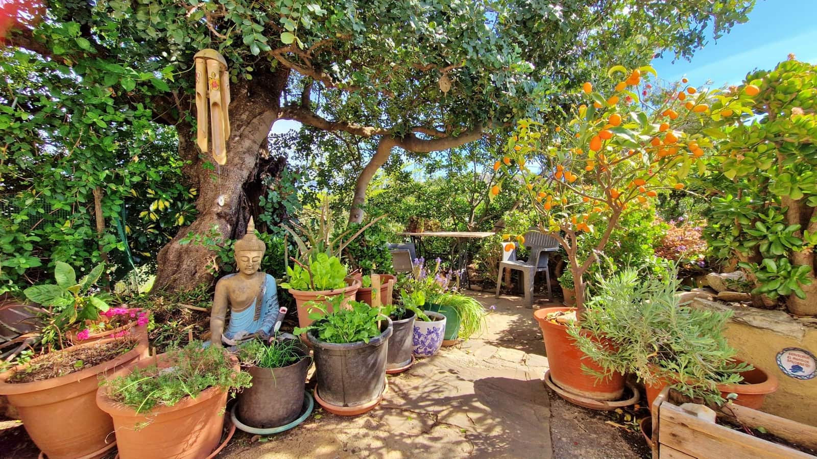 5 soveværelse Finca/Landehus til salg i Los Romanes - € 249.000 (Ref: 9750945)