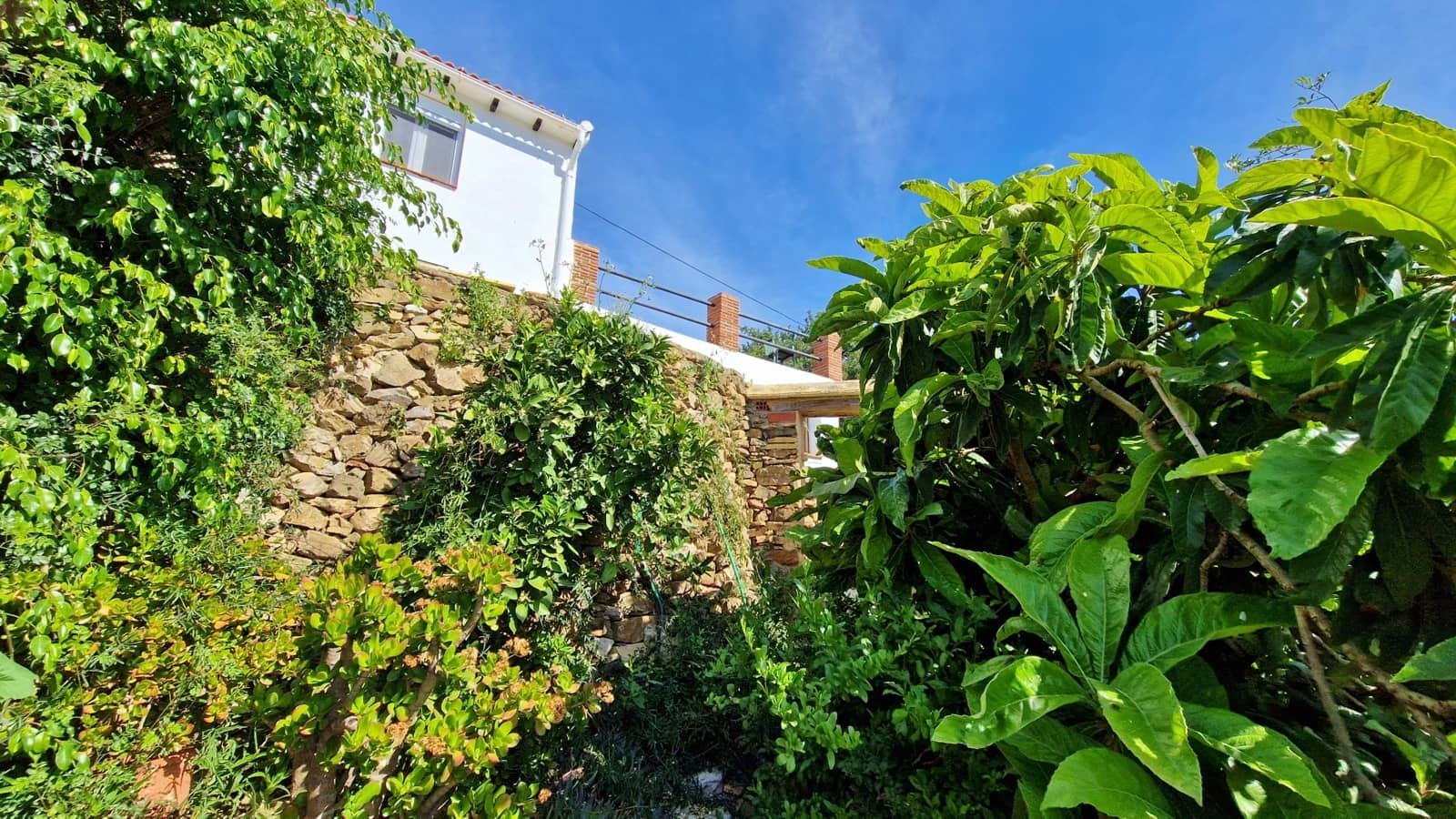 5 soveværelse Finca/Landehus til salg i Los Romanes - € 249.000 (Ref: 9750945)