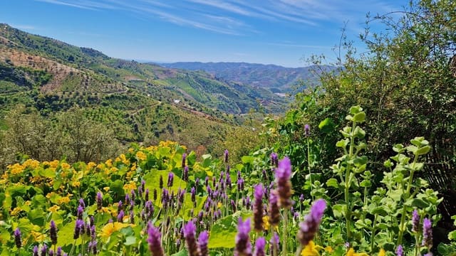 5 soveværelse Finca/Landehus til salg i Los Romanes, Viñuela - € 249.000 (Ref: 9750945)