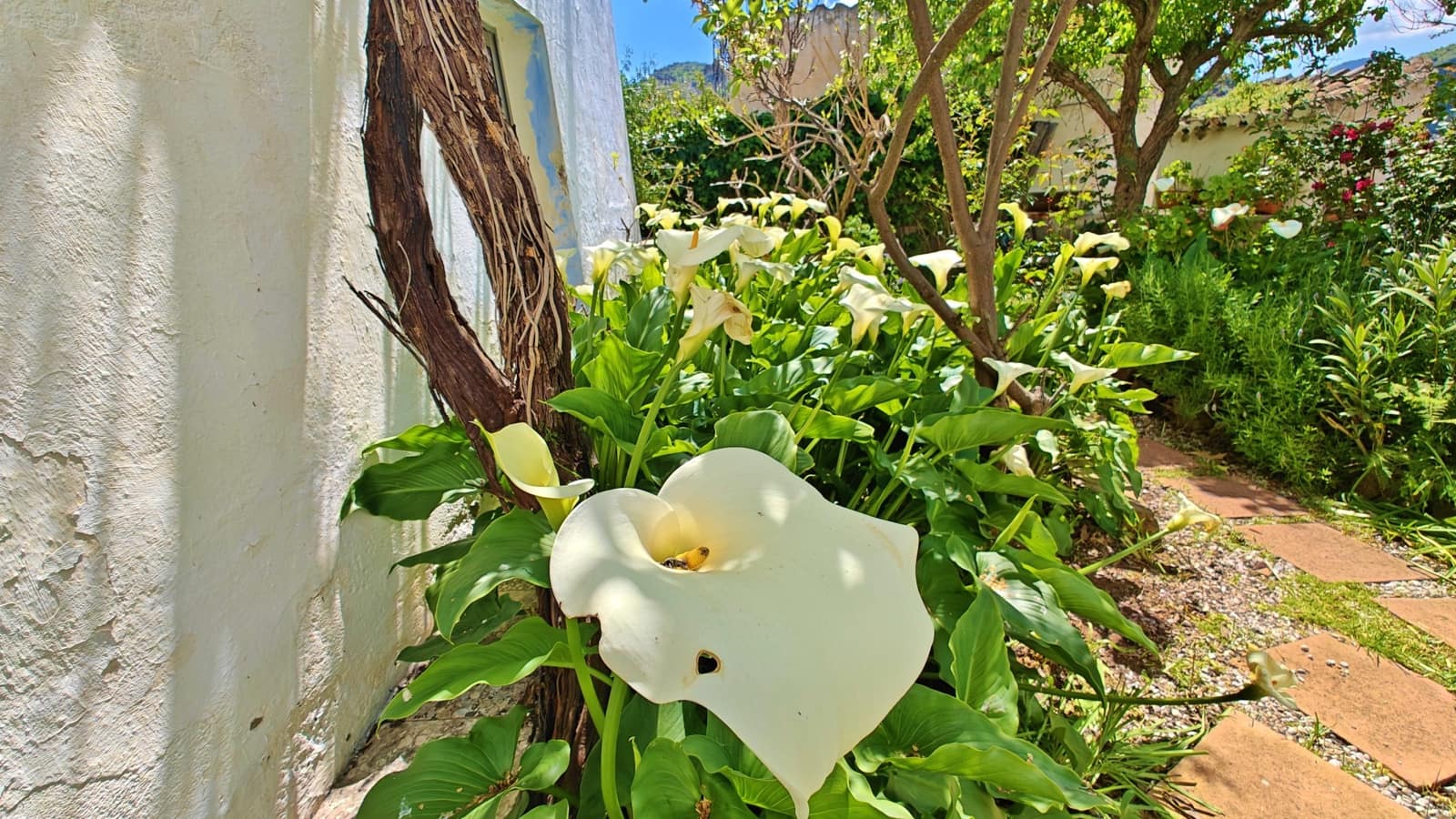 3 bedroom Finca/Country House for sale in Los Ventorros de Comares - € 259,000 (Ref: 9752599)