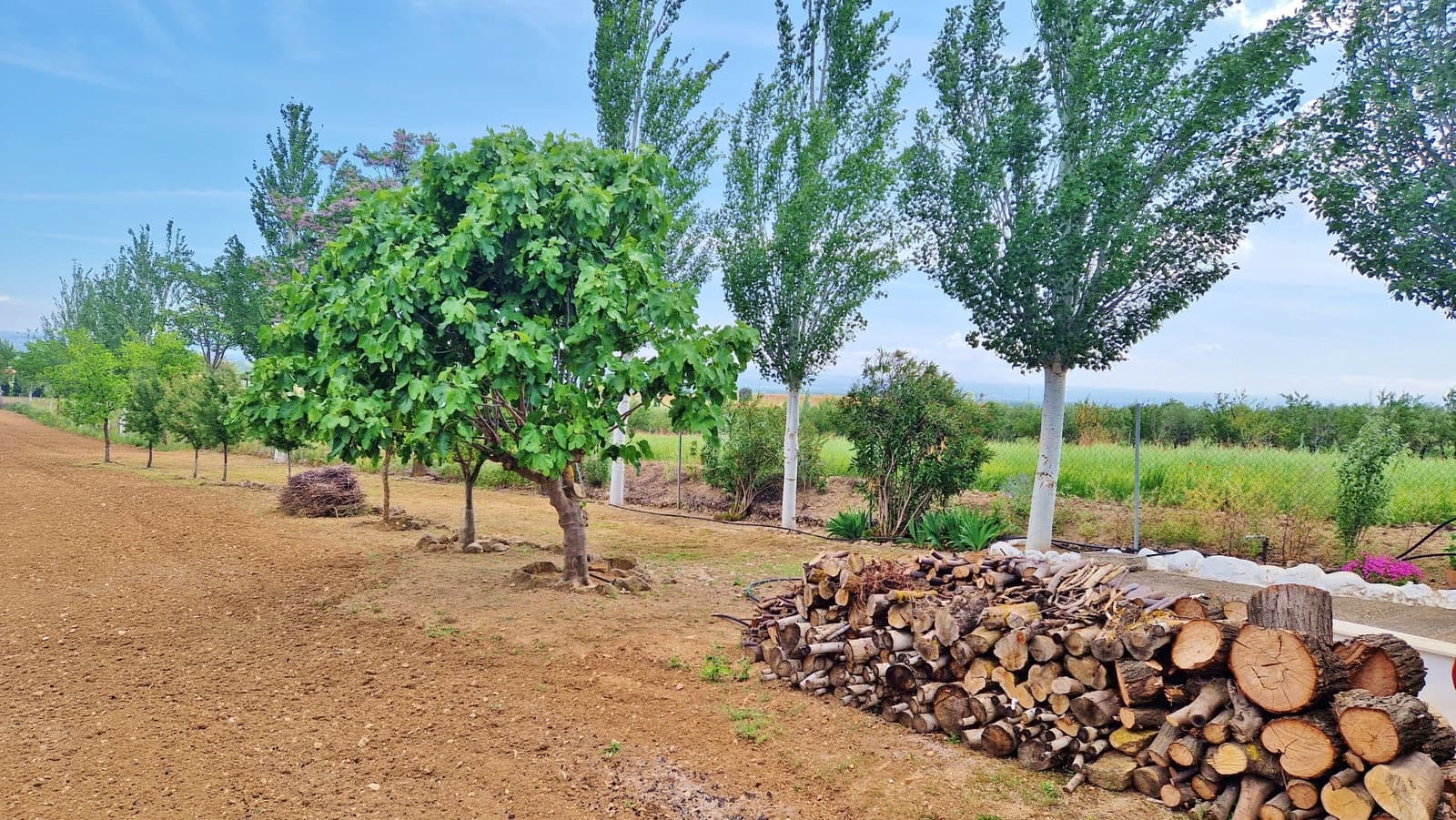 3 bedroom Finca/Country House for sale in Pinos Puente with pool garage - € 345,000 (Ref: 9823937)