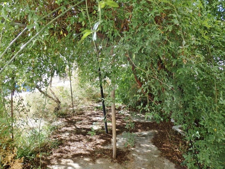 7 bedroom Townhouse for sale in Jayena - € 160,000 (Ref: 9823938)