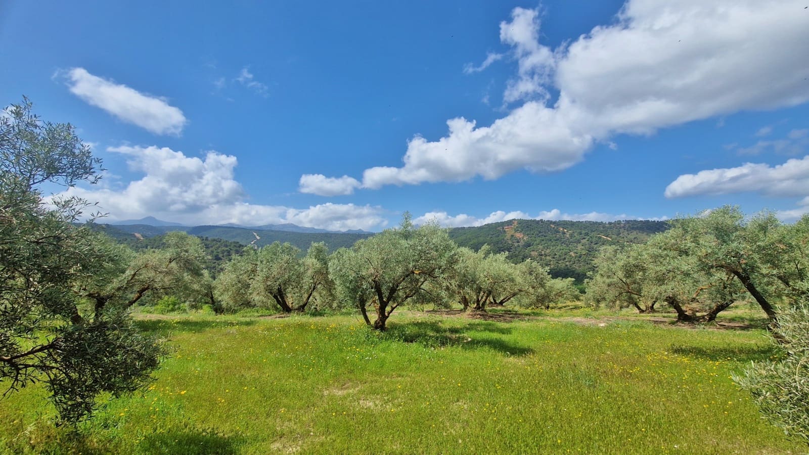 2 bedroom Finca/Country House for sale in Jayena with garage - € 165,000 (Ref: 9838824)