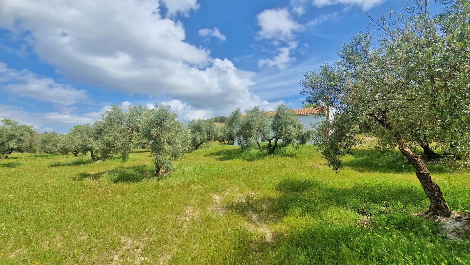 2 quarto Quinta/Casa Rural para venda em Jayena com garagem - 165 000 € (Ref: 9838824)