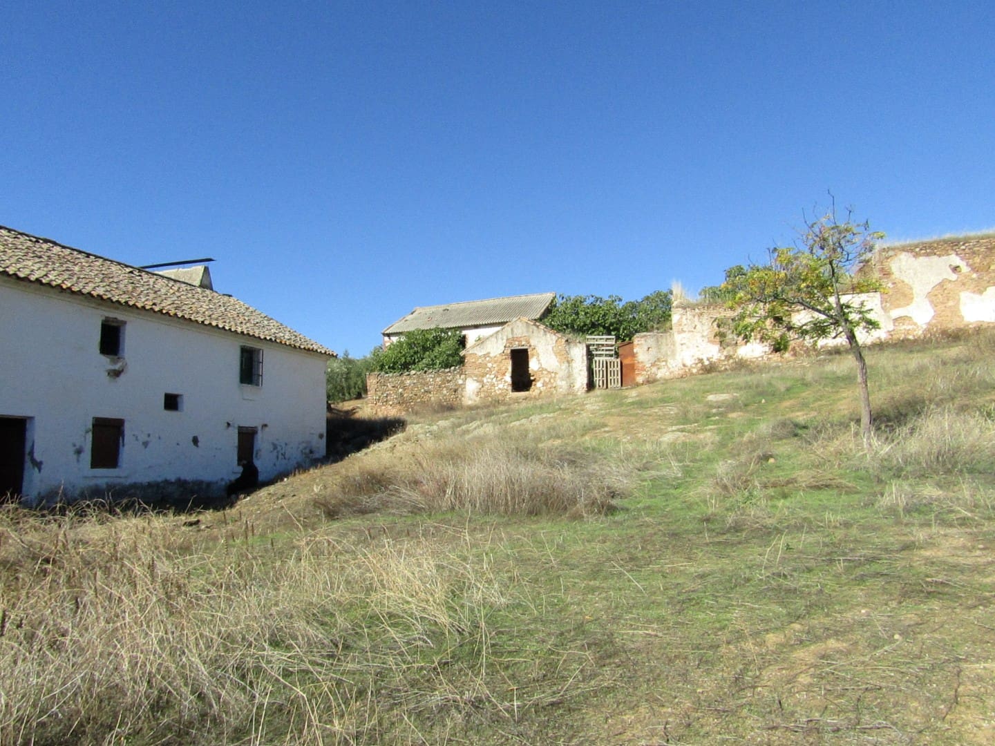 6 soveværelse Finca/Landehus til salg i Adamuz - € 250.000 (Ref: 9854712)